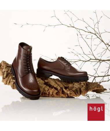 HÖGL AW24